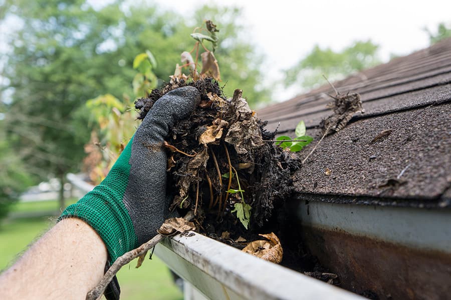 Gutter cleaning